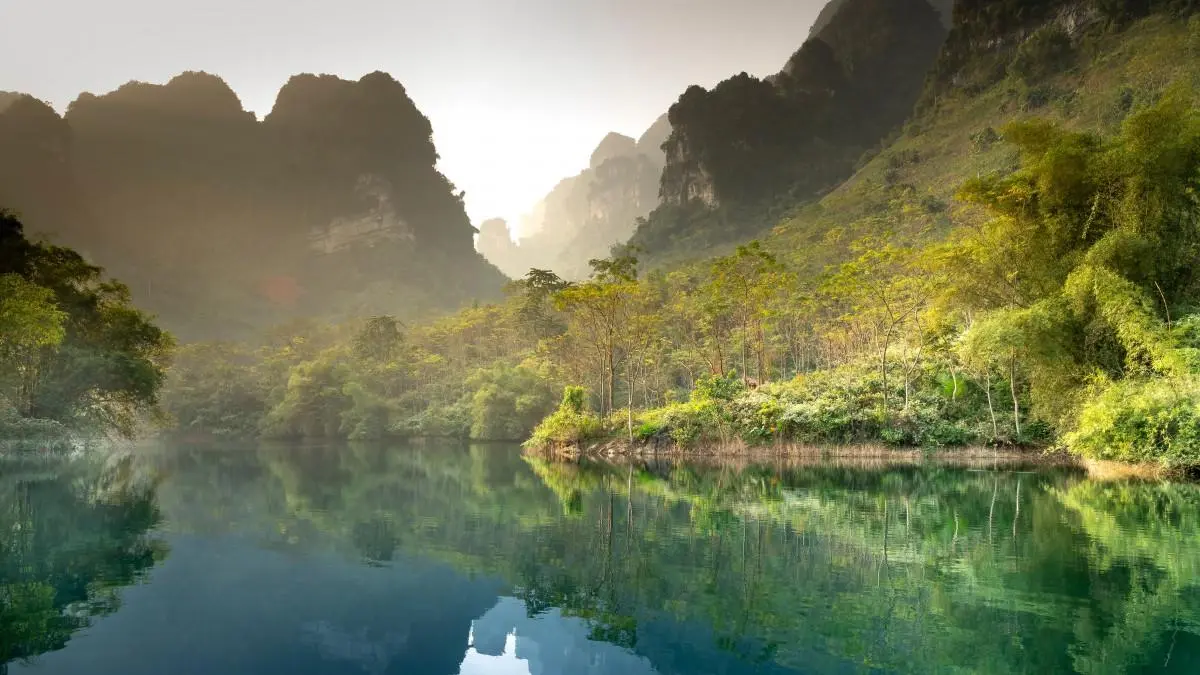 高精度数字化高端